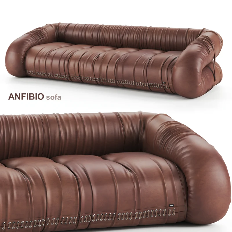 Anfibio